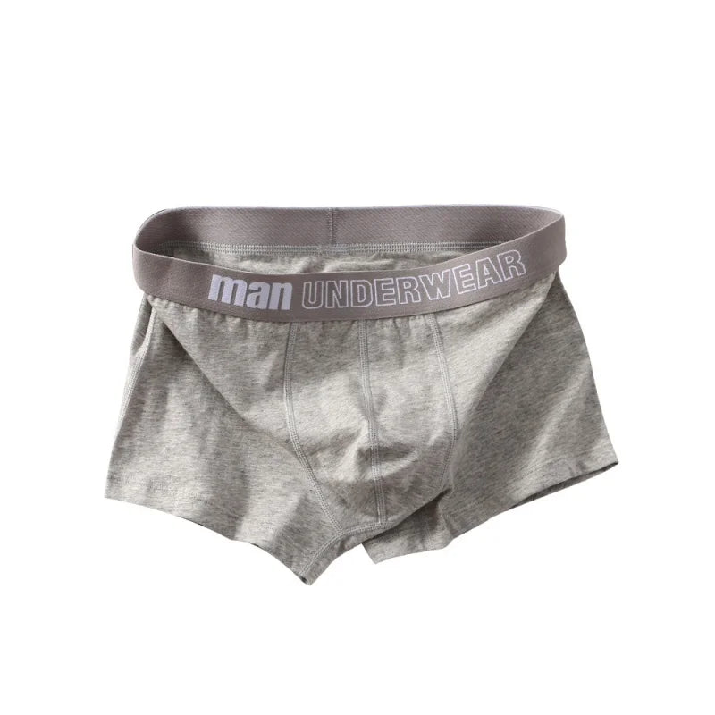 3Pcs Lot Men Panties Boxer Shorts Cotton Men's Underwear Breathable Man Underpants Sports Comfort Male Boxers XL-3XL