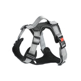 Hand Holding Dog Chest Strap Vest Rope