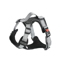 Hand Holding Dog Chest Strap Vest Rope