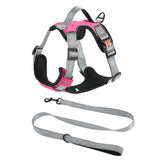 Hand Holding Dog Chest Strap Vest Rope