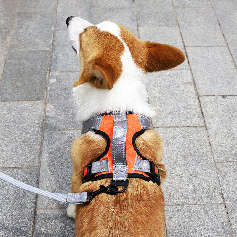 Hand Holding Dog Chest Strap Vest Rope