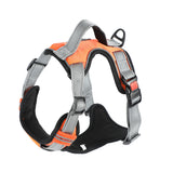 Hand Holding Dog Chest Strap Vest Rope