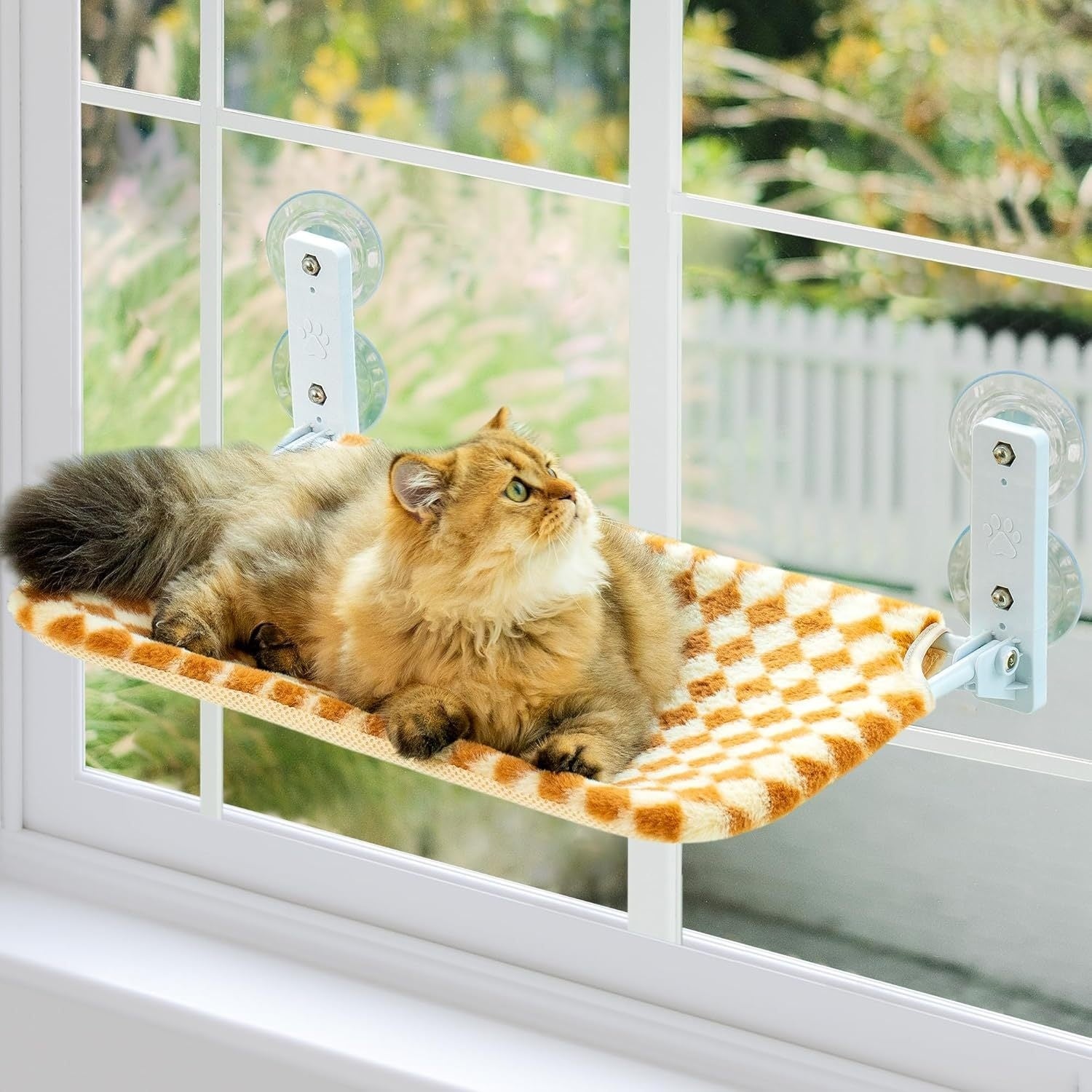 Pet Cat Glass Balcony Hammock Nest