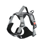 Hand Holding Dog Chest Strap Vest Rope