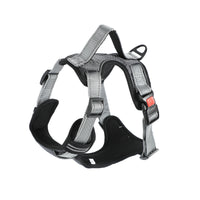 Hand Holding Dog Chest Strap Vest Rope