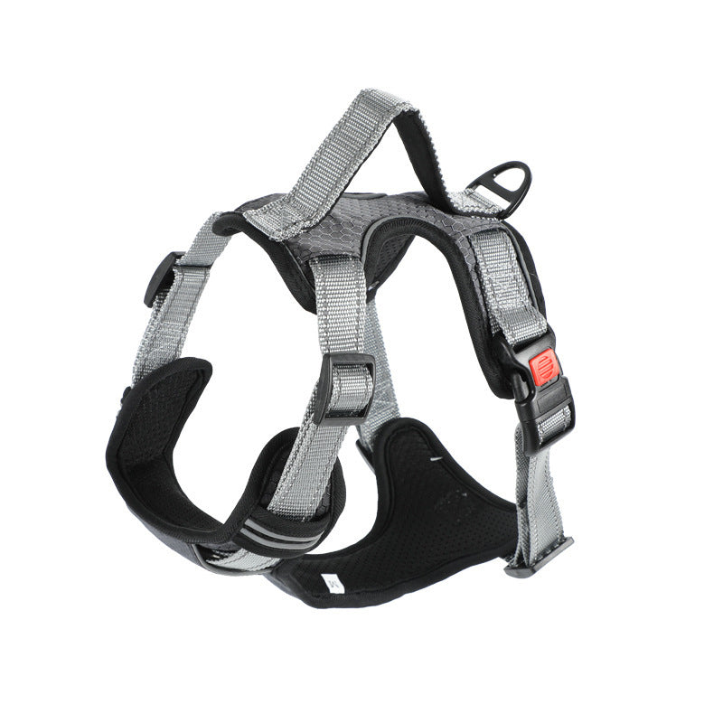 Hand Holding Dog Chest Strap Vest Rope